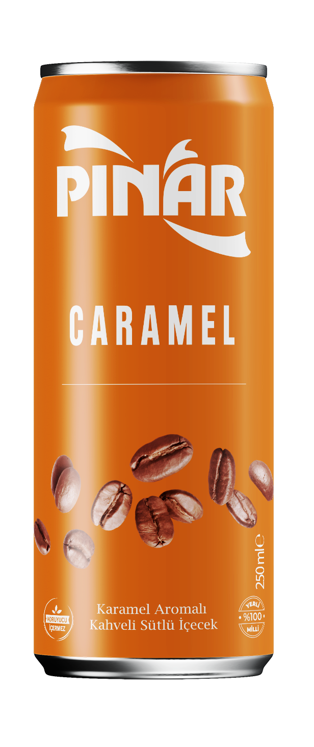 Pınar Soğuk Kahve Caramel