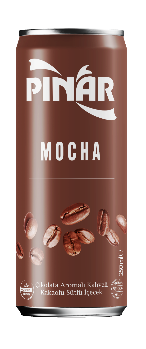 Pınar Soğuk Kahve Mocha